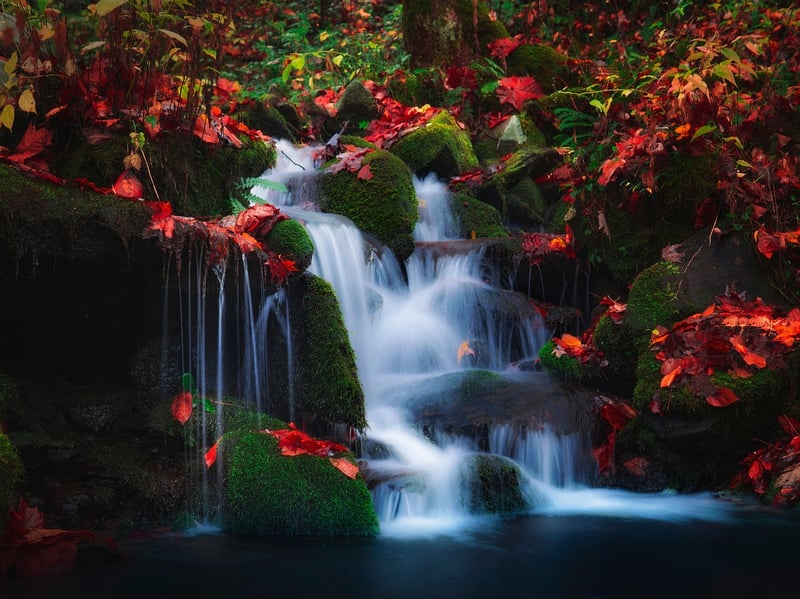 Gentle Flow
